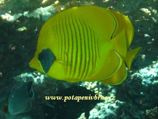 Hurghada
