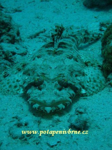 Hurghada