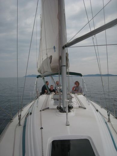 IZO Cup 2010