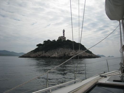 IZO Cup 2010