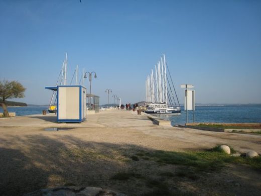 IZO Cup 2010