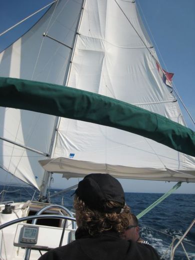 IZO Cup 2010